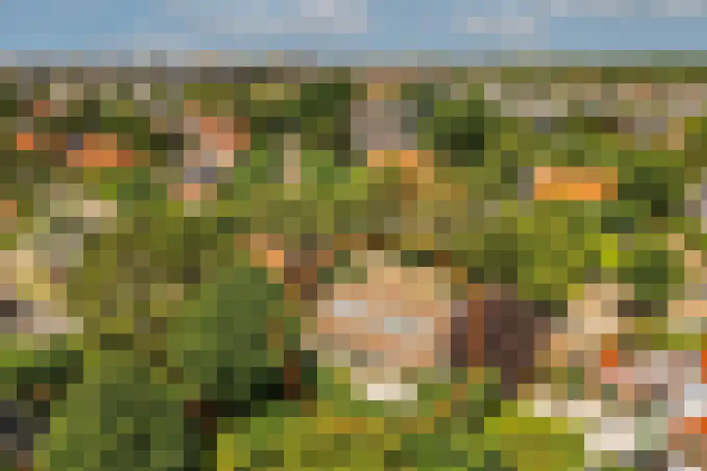 Julianaweg 22 Zandvoort thumbnail 42