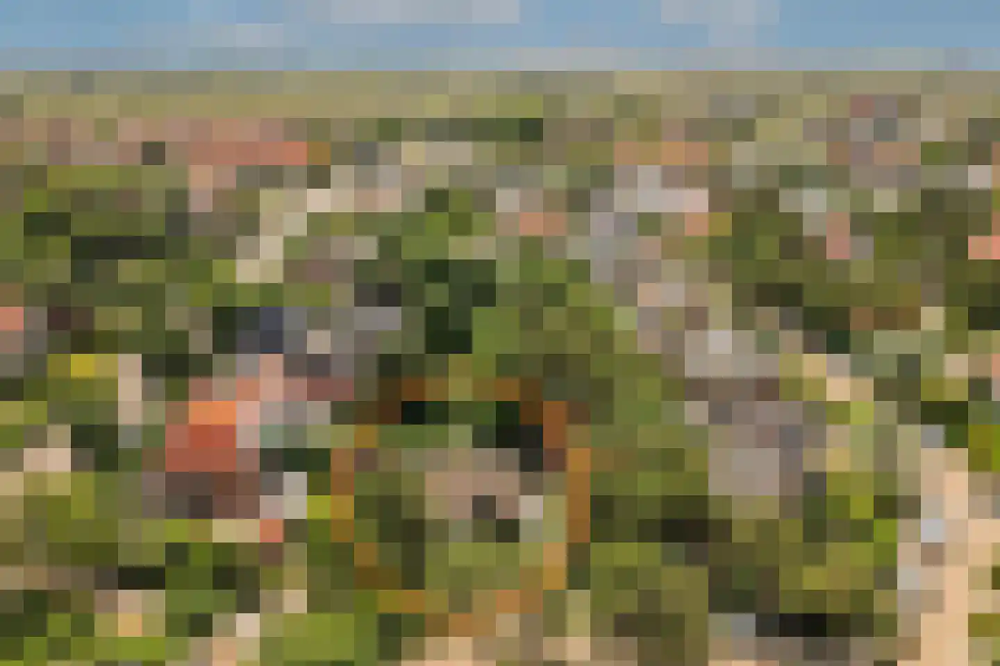 Julianaweg 22 Zandvoort thumbnail 5