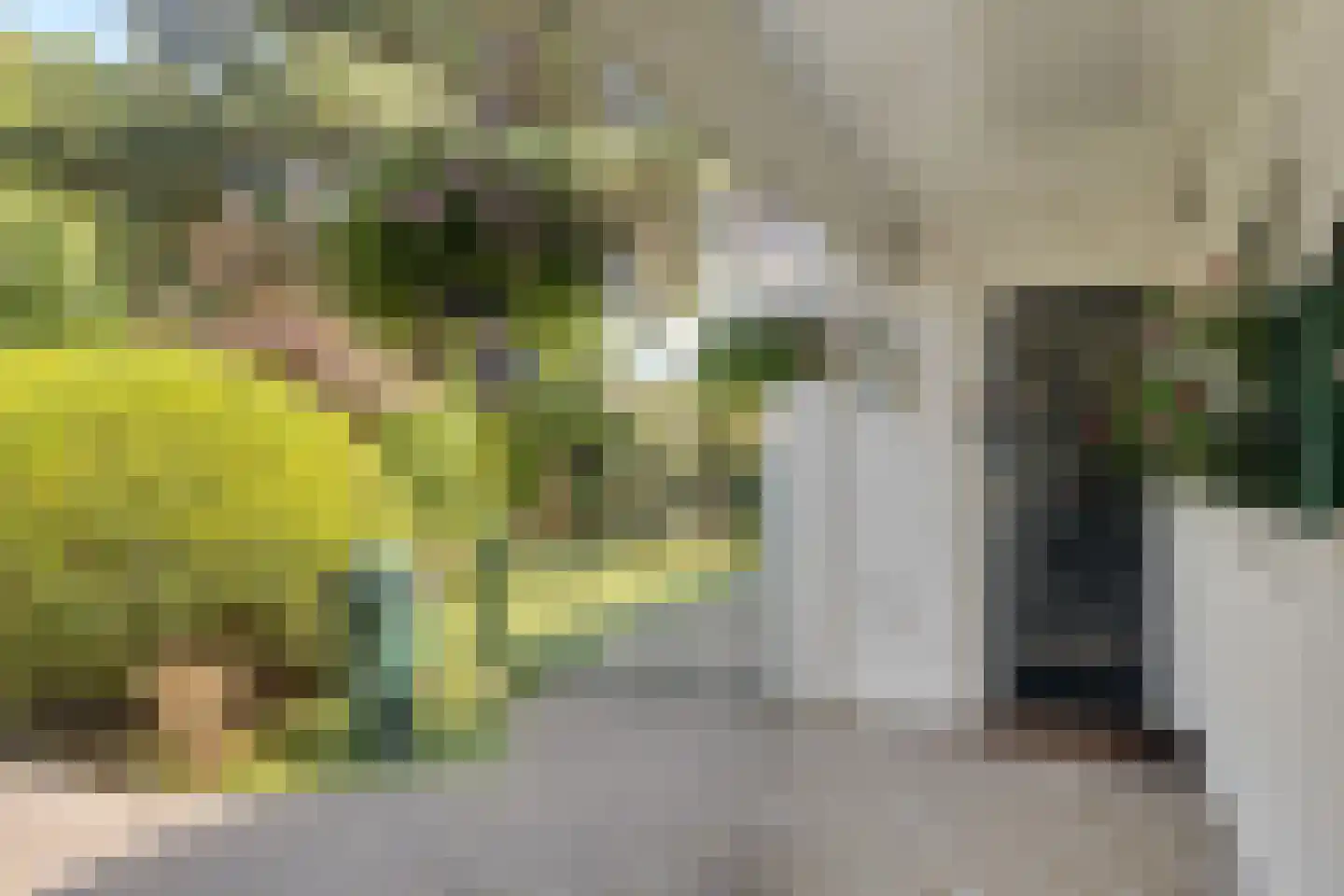 Julianaweg 22 Zandvoort thumbnail 6