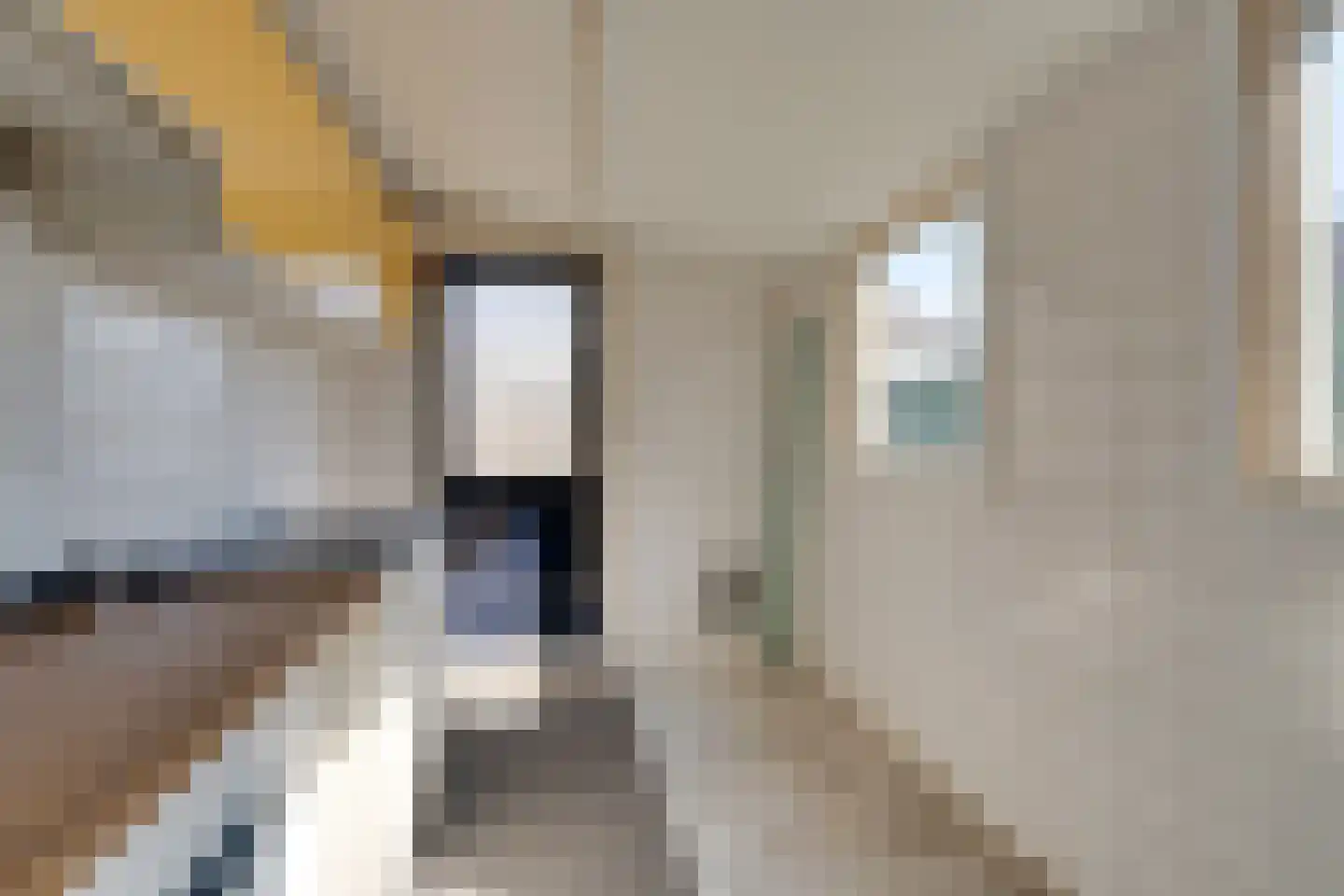 Julianaweg 23 Volendam thumbnail 22