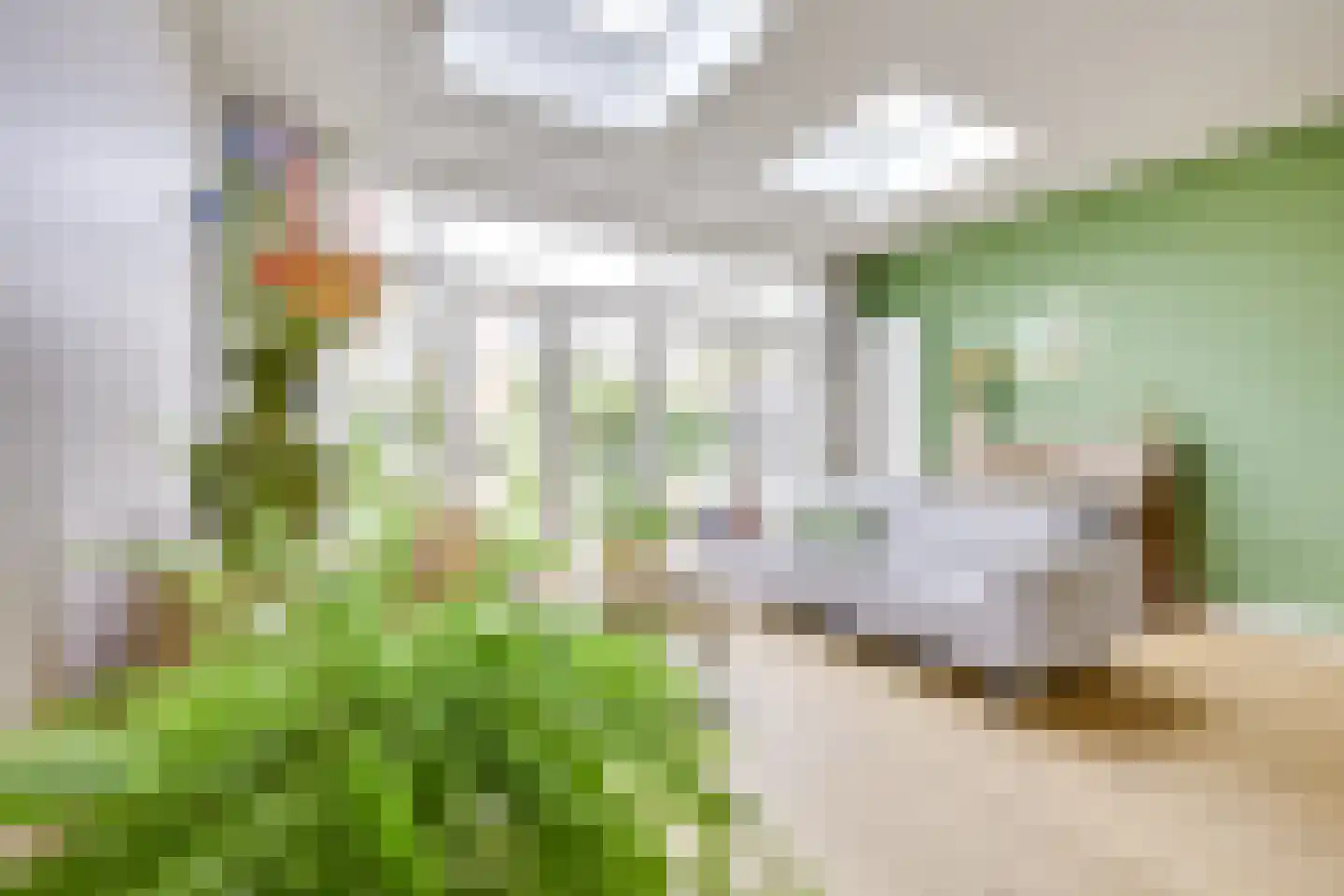Julianaweg 233 Utrecht thumbnail 10