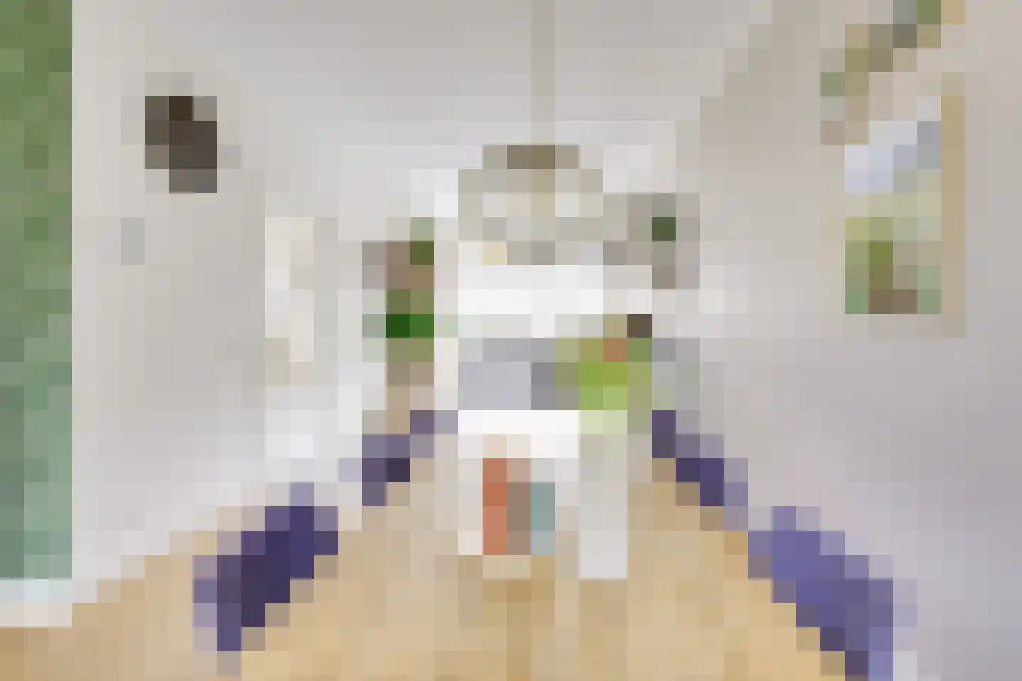 Julianaweg 233 Utrecht thumbnail 19