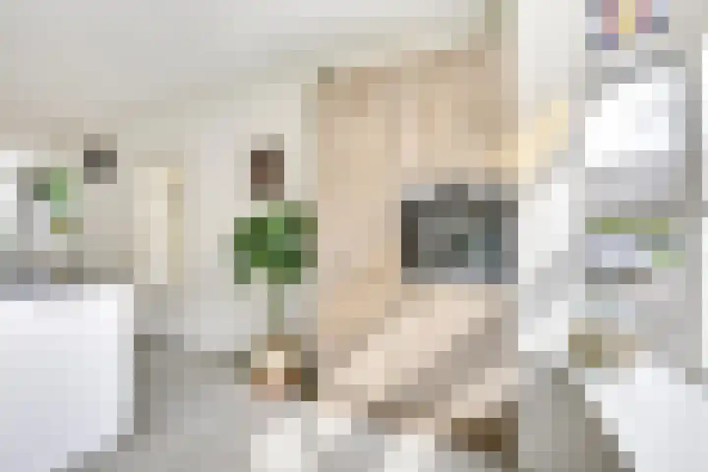 Julianaweg 233 Utrecht thumbnail 24