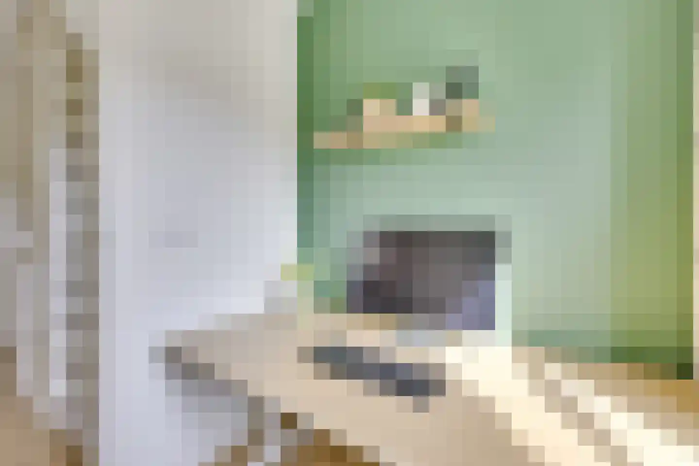 Julianaweg 233 Utrecht thumbnail 37