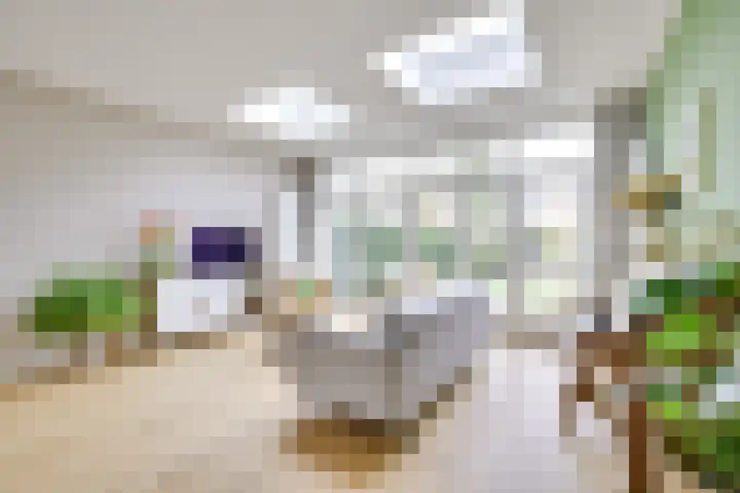 Julianaweg 233 Utrecht thumbnail 8