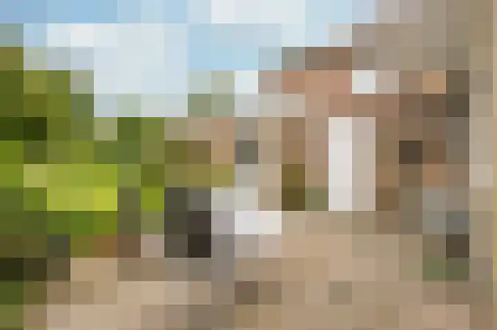 Julianaweg 25 Sint Geertruid thumbnail 15