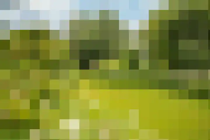Julianaweg 25 Sint Geertruid thumbnail 17