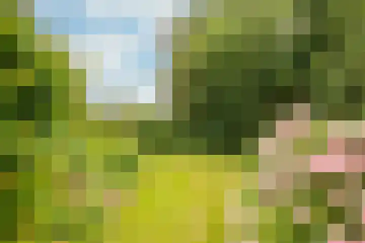Julianaweg 25 Sint Geertruid thumbnail 18