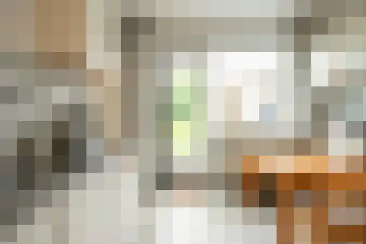 Julianaweg 25 Sint Geertruid thumbnail 7