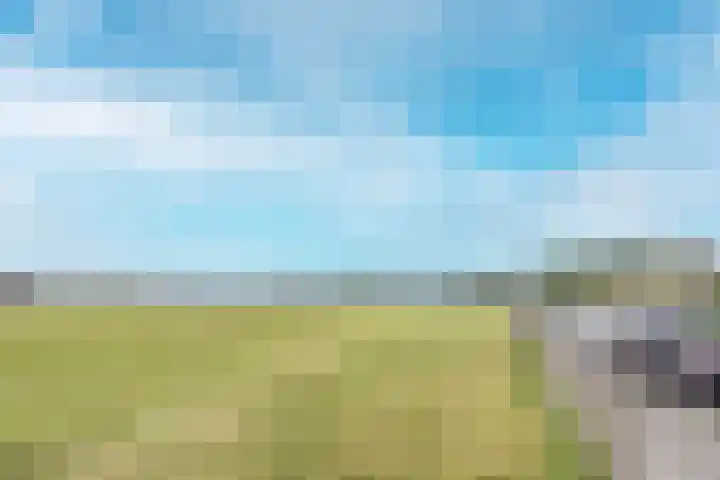 Julianaweg 26 D Wijk aan Zee thumbnail 26