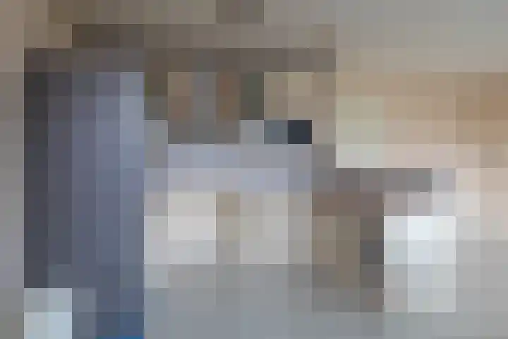 Julianaweg 26 D Wijk aan Zee thumbnail 9