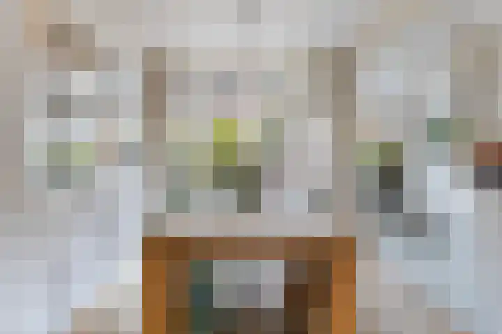 Julianaweg 266 Utrecht thumbnail 17