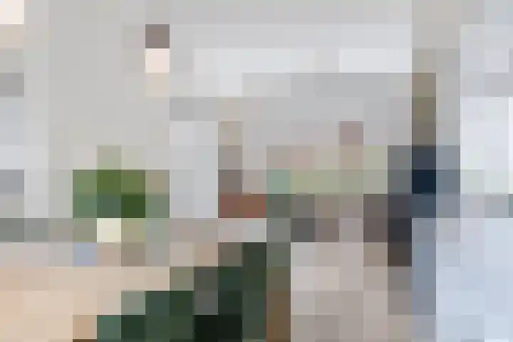 Julianaweg 266 Utrecht thumbnail 19