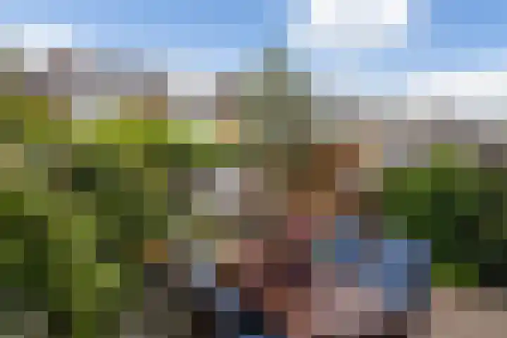 Julianaweg 266 Utrecht thumbnail 28