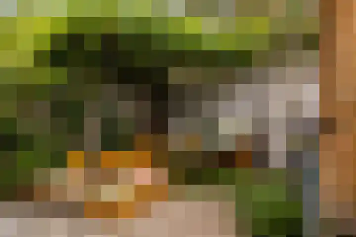 Julianaweg 266 Utrecht thumbnail 29