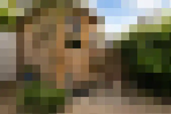 Julianaweg 266 Utrecht thumbnail 30