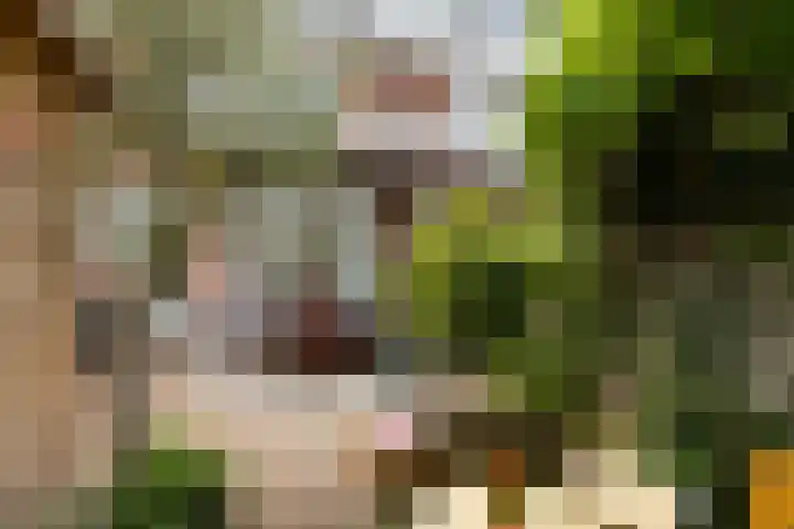 Julianaweg 266 Utrecht thumbnail 31