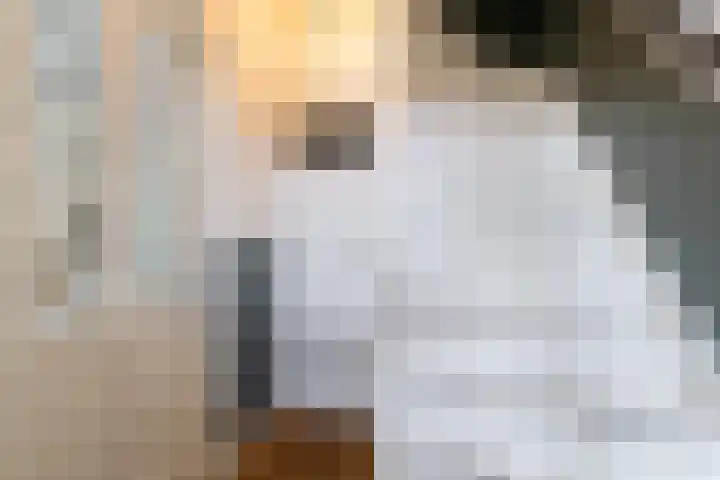 Julianaweg 266 Utrecht thumbnail 33