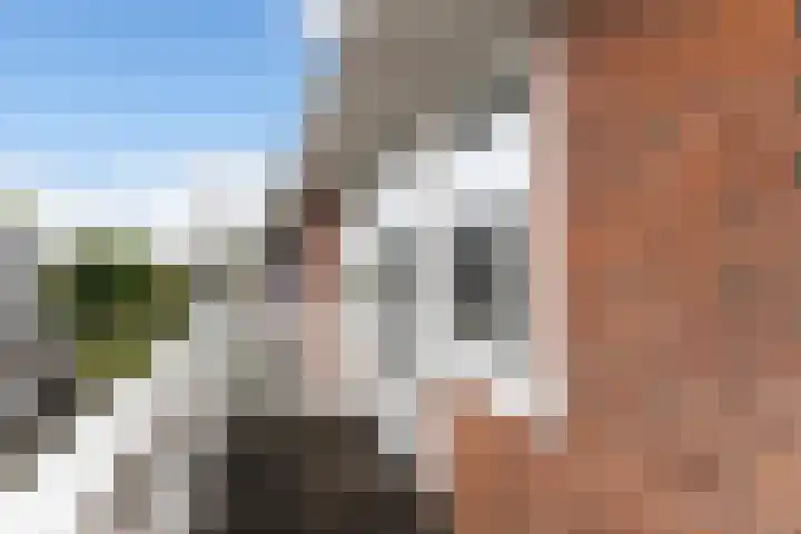 Julianaweg 266 Utrecht thumbnail 42