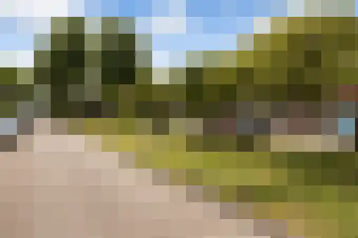 Julianaweg 266 Utrecht thumbnail 55