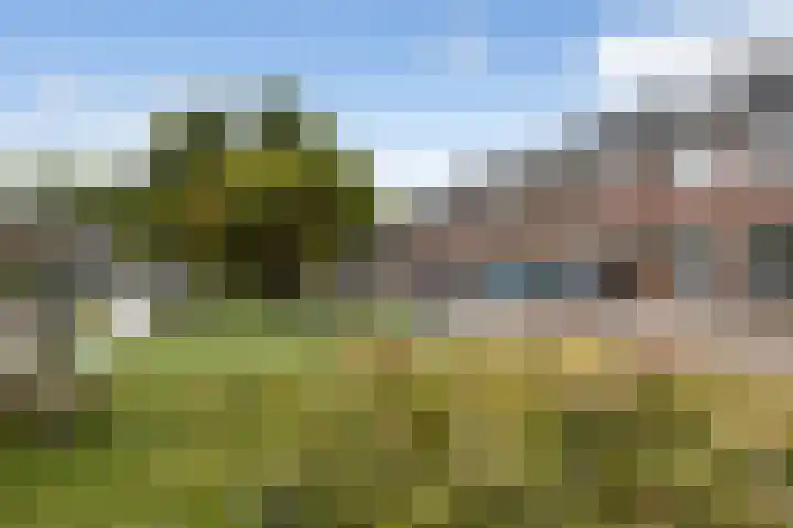 Julianaweg 266 Utrecht thumbnail 57