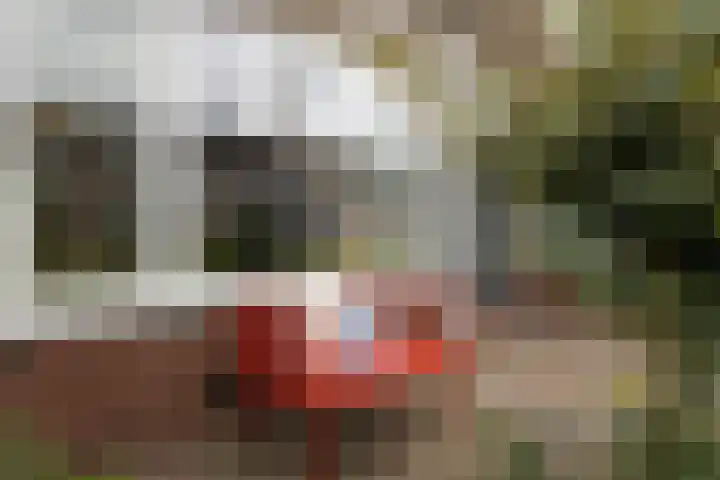Julianaweg 266 Utrecht thumbnail 6