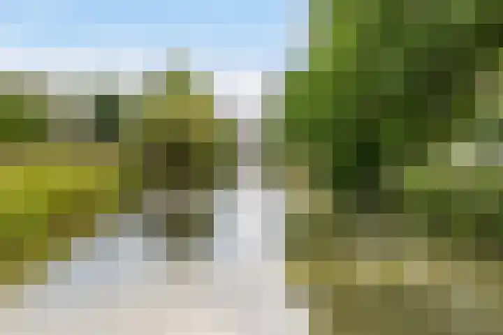 Julianaweg 266 Utrecht thumbnail 61