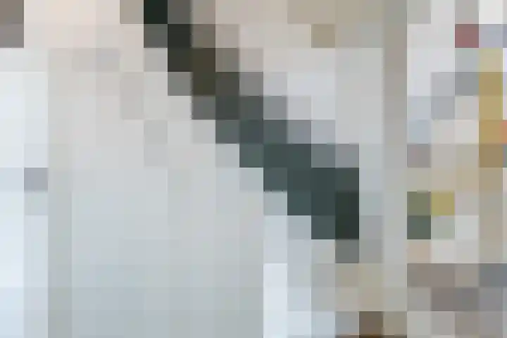 Julianaweg 266 Utrecht thumbnail 8