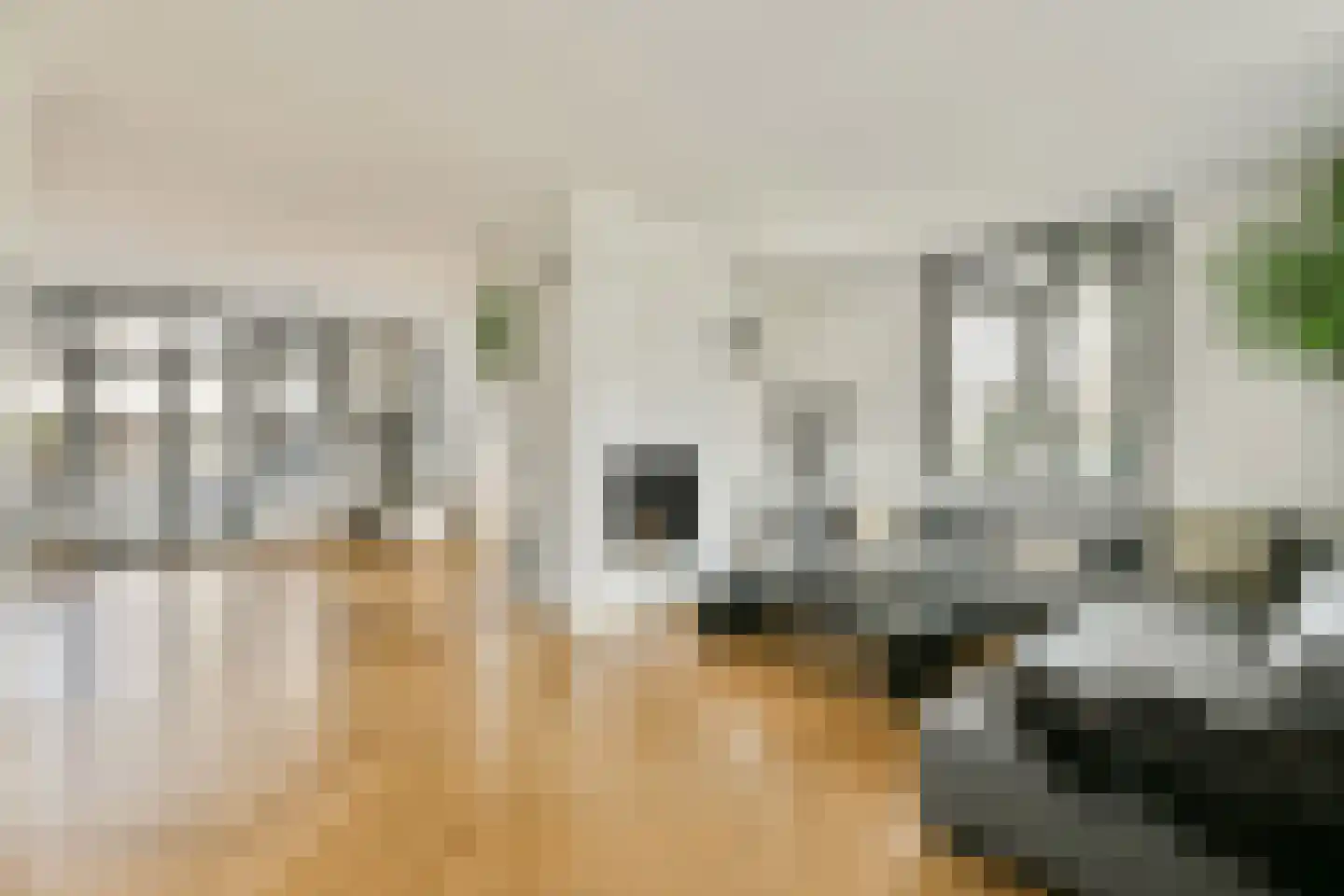 Julianaweg 27 Zandvoort thumbnail 14