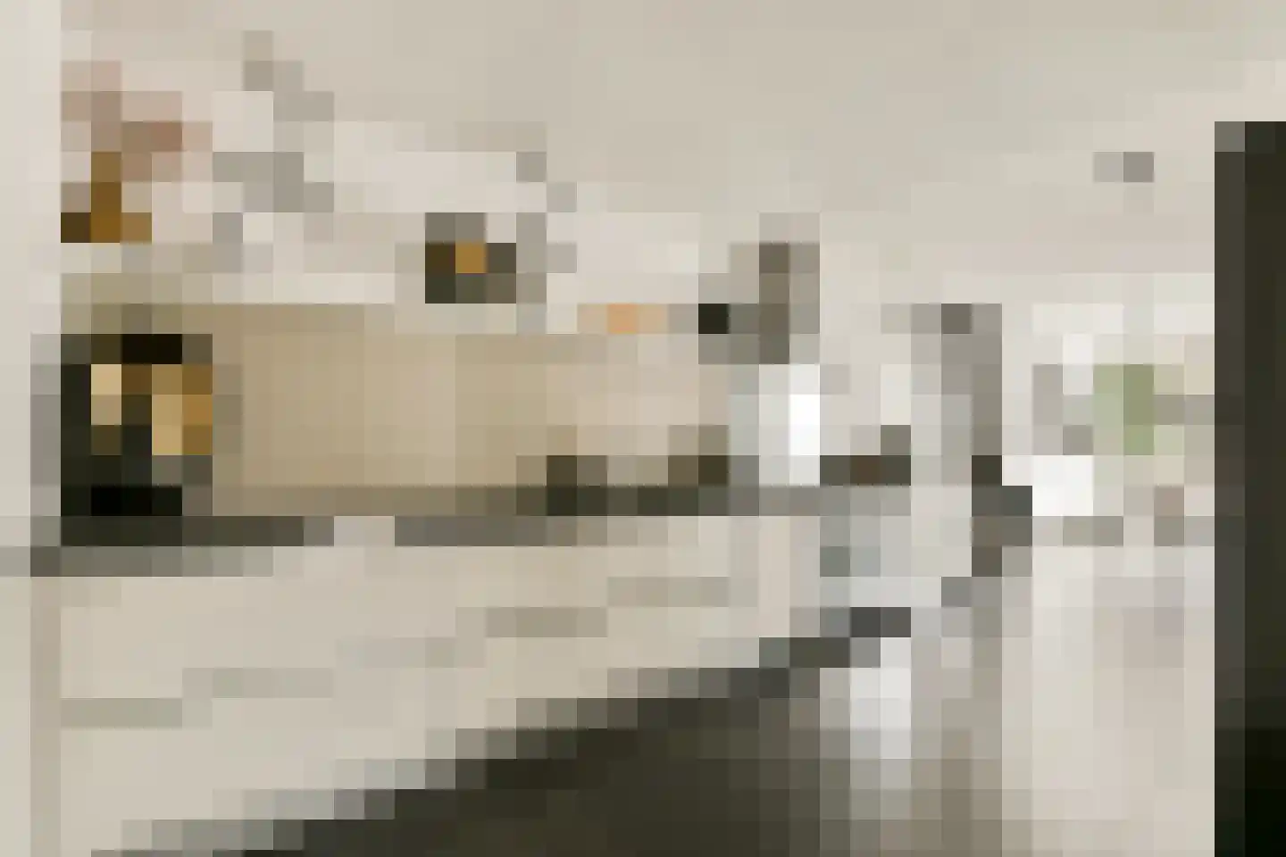Julianaweg 27 Zandvoort thumbnail 18