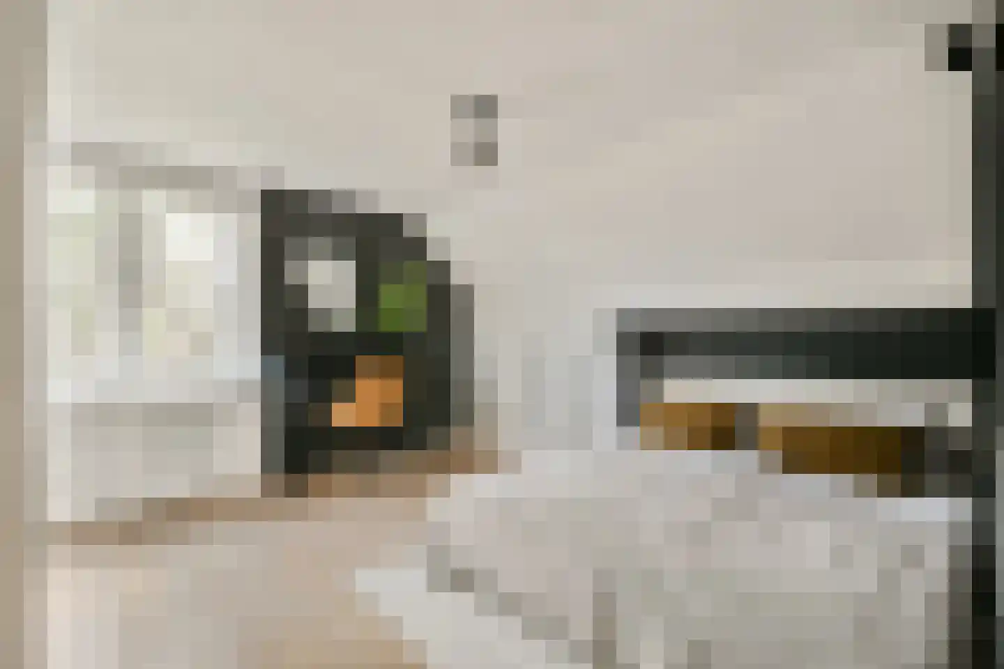 Julianaweg 27 Zandvoort thumbnail 33