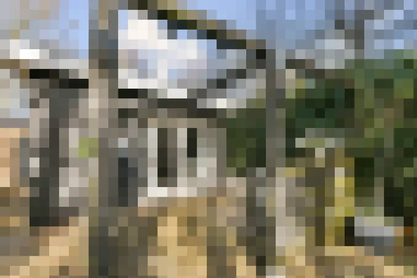 Julianaweg 27 Zandvoort thumbnail 37