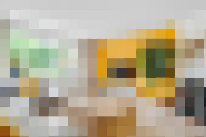 Julianaweg 28 Doorn thumbnail 12