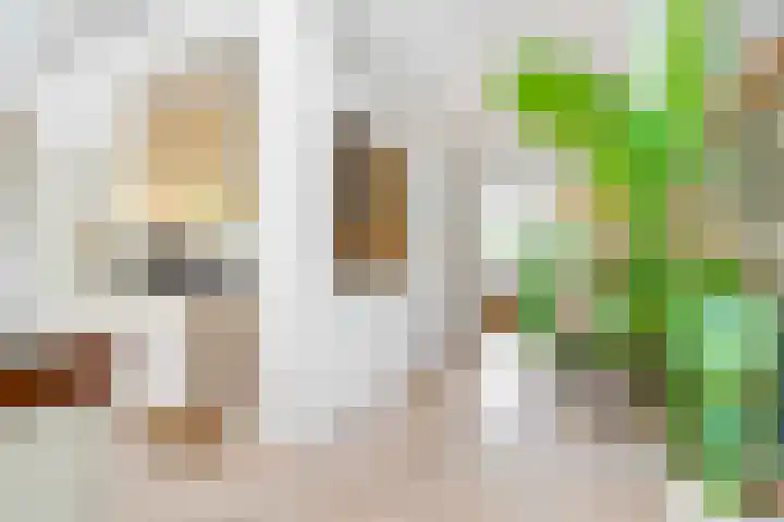Julianaweg 28 Doorn thumbnail 16