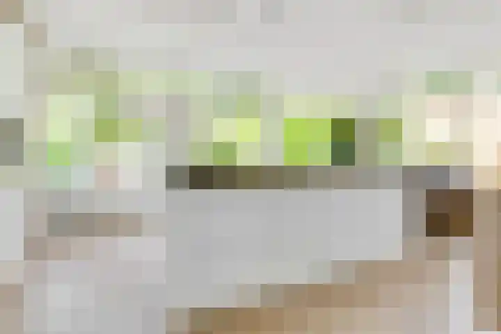 Julianaweg 28 Doorn thumbnail 17