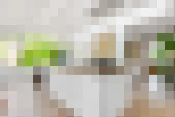 Julianaweg 28 Doorn thumbnail 18