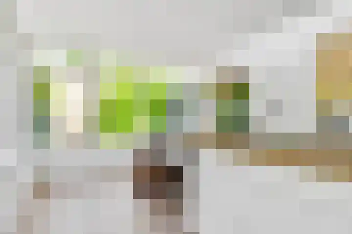 Julianaweg 28 Doorn thumbnail 19