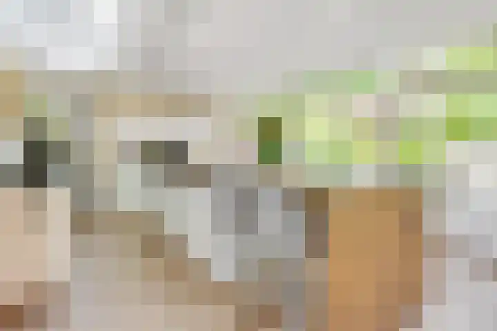 Julianaweg 28 Doorn thumbnail 23