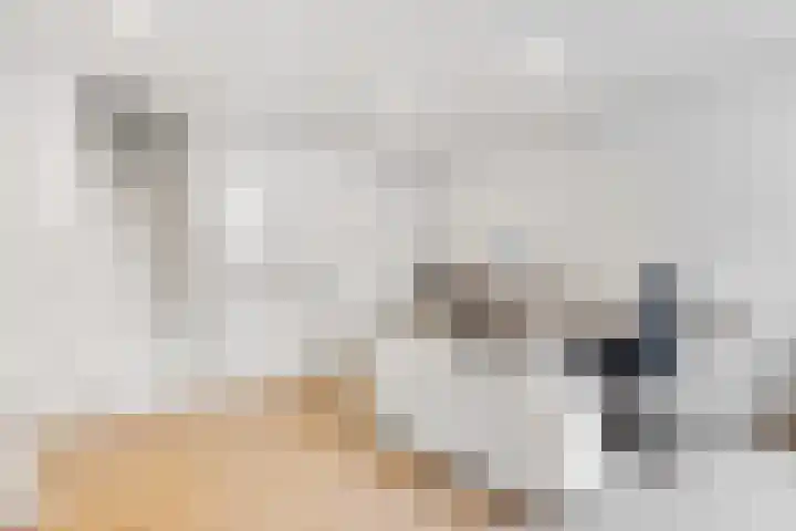 Julianaweg 28 Doorn thumbnail 25