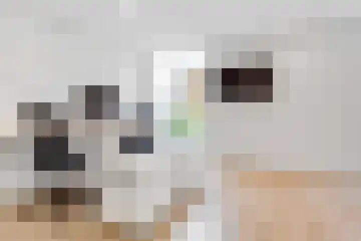 Julianaweg 28 Doorn thumbnail 26