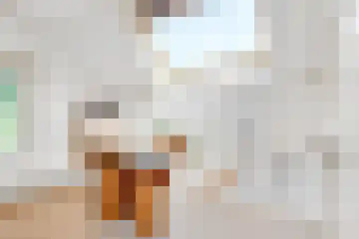 Julianaweg 28 Doorn thumbnail 37