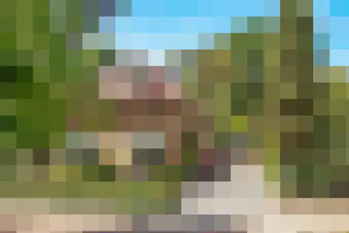 Julianaweg 28 Doorn thumbnail 4