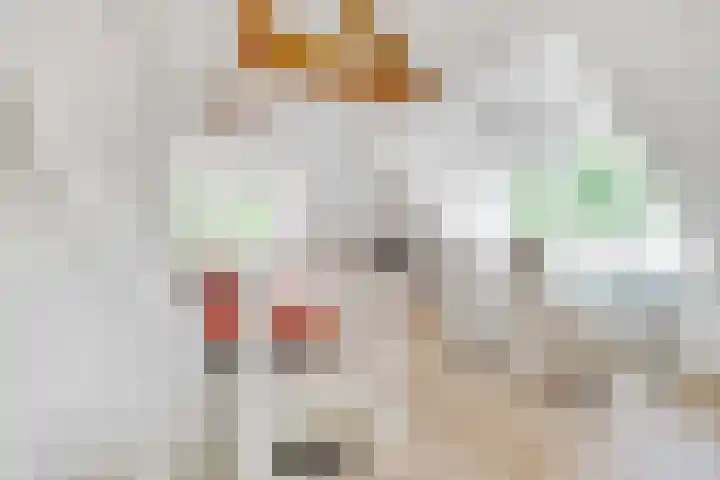 Julianaweg 28 Doorn thumbnail 44