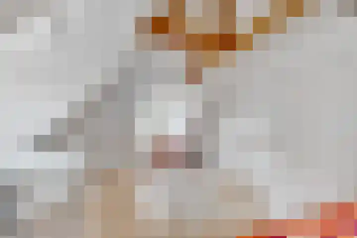 Julianaweg 28 Doorn thumbnail 46