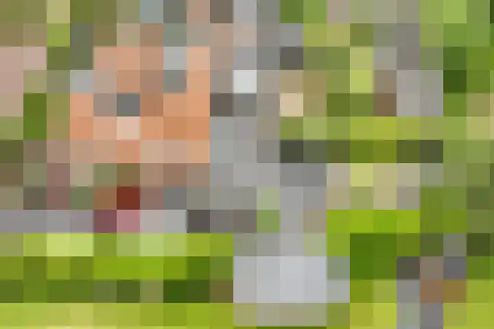 Julianaweg 28 Doorn thumbnail 48