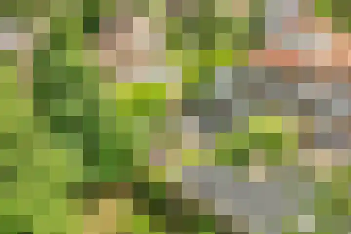 Julianaweg 28 Doorn thumbnail 49