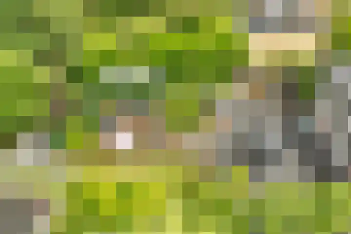 Julianaweg 28 Doorn thumbnail 50