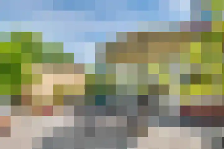 Julianaweg 28 Doorn thumbnail 52