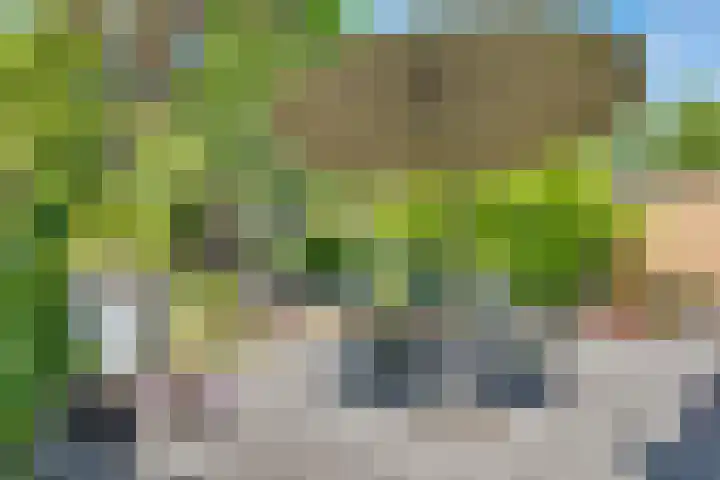 Julianaweg 28 Doorn thumbnail 53