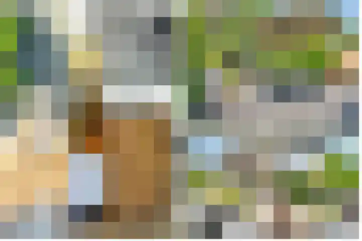 Julianaweg 28 Doorn thumbnail 54